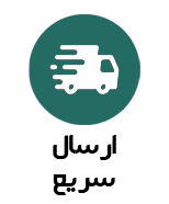 ارسال سریع
